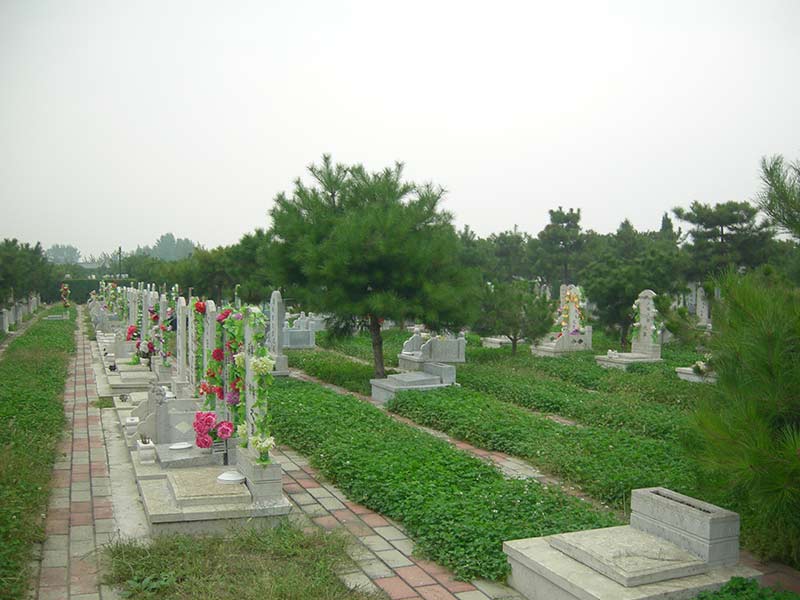 墓区